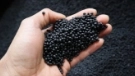 Thermoplastic Vulcanizate Elastomer Sarlink®