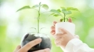 Biomass high melting-point polyamide resin VYLOAMIDE®