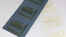 Water-wash letterpress plate Printight®