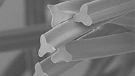 polyester staple fiber DRYFAST